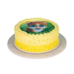 Cat Photo Cake