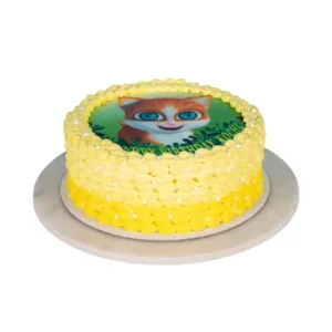 Photo Cake 28