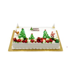Christmas Cake 13