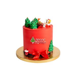 Christmas Cake 18