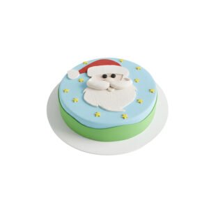 Christmas Cake 21