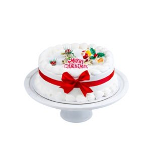 Christmas Cake 5