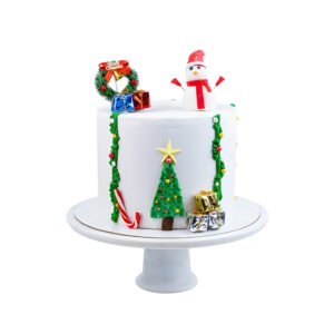 Christmas Cake 6