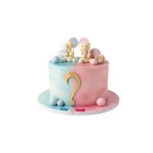 Gender reveal 7