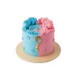 Gender reveal 9