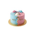 Gender reveal 10