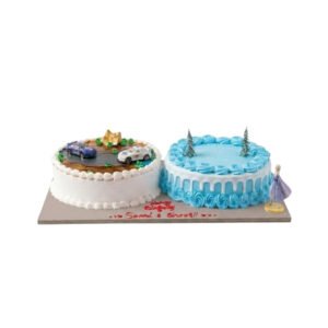 Gender reveal 15