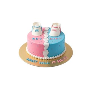 He or She Gender Reveal Shoes Cake