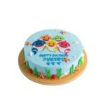 Gender reveal 4