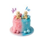 Gender reveal 6