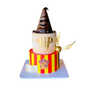 Harry Potter Sorting Hat Cake
